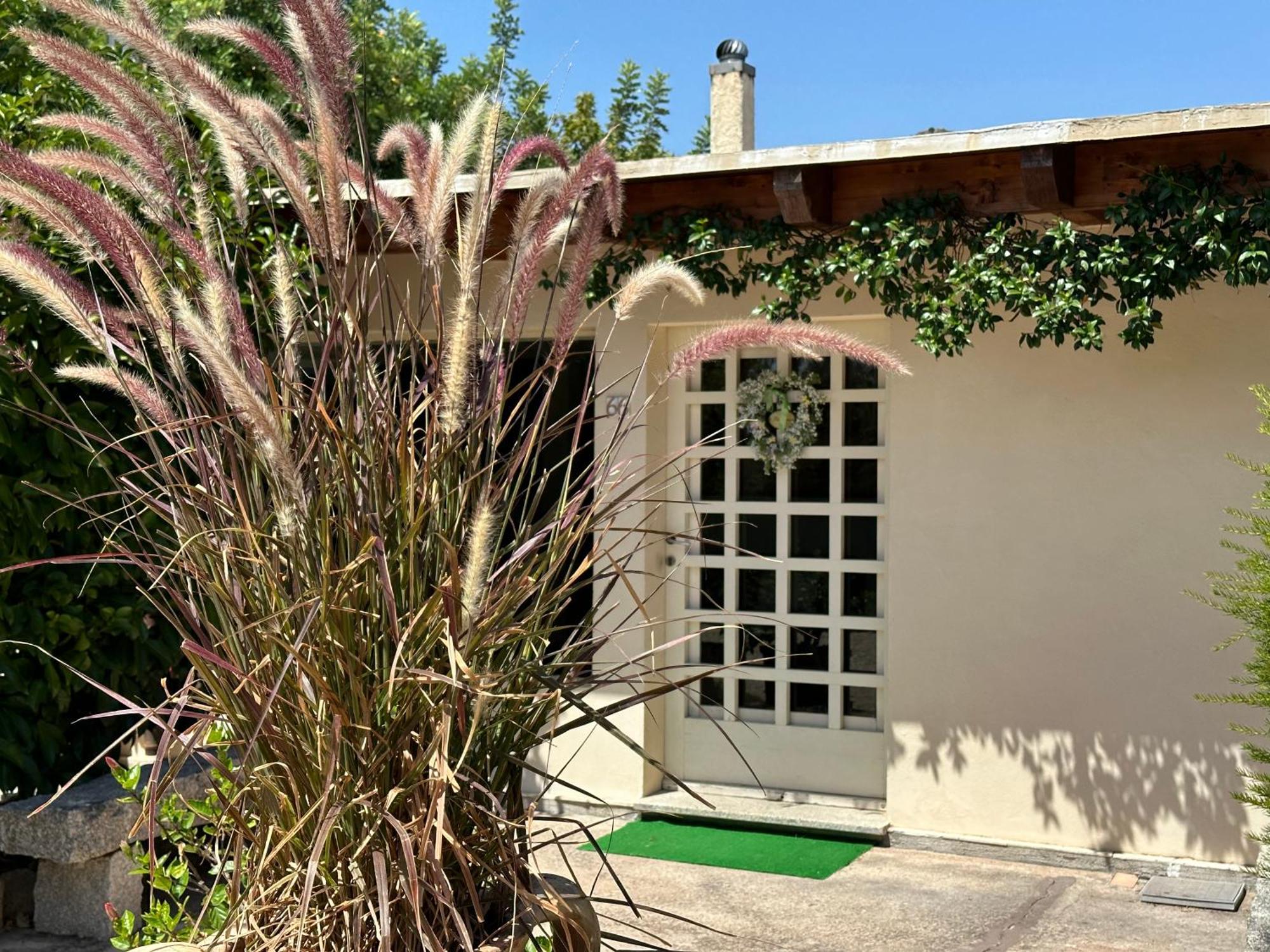 Villa Niloan 올비아 외부 사진