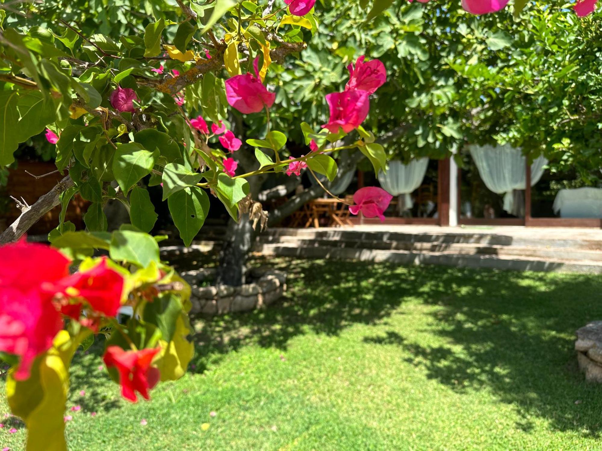 Villa Niloan 올비아 외부 사진