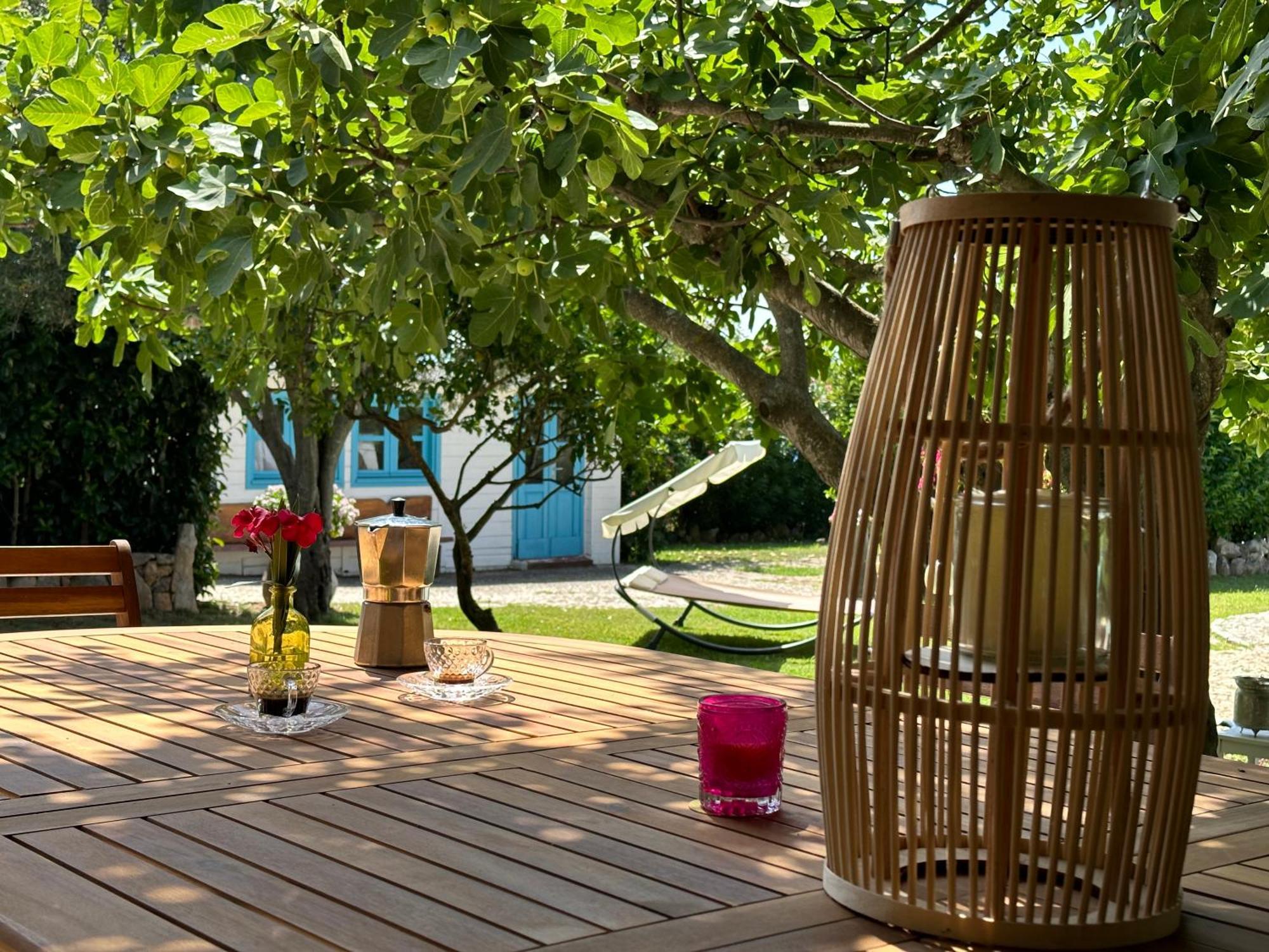 Villa Niloan 올비아 외부 사진