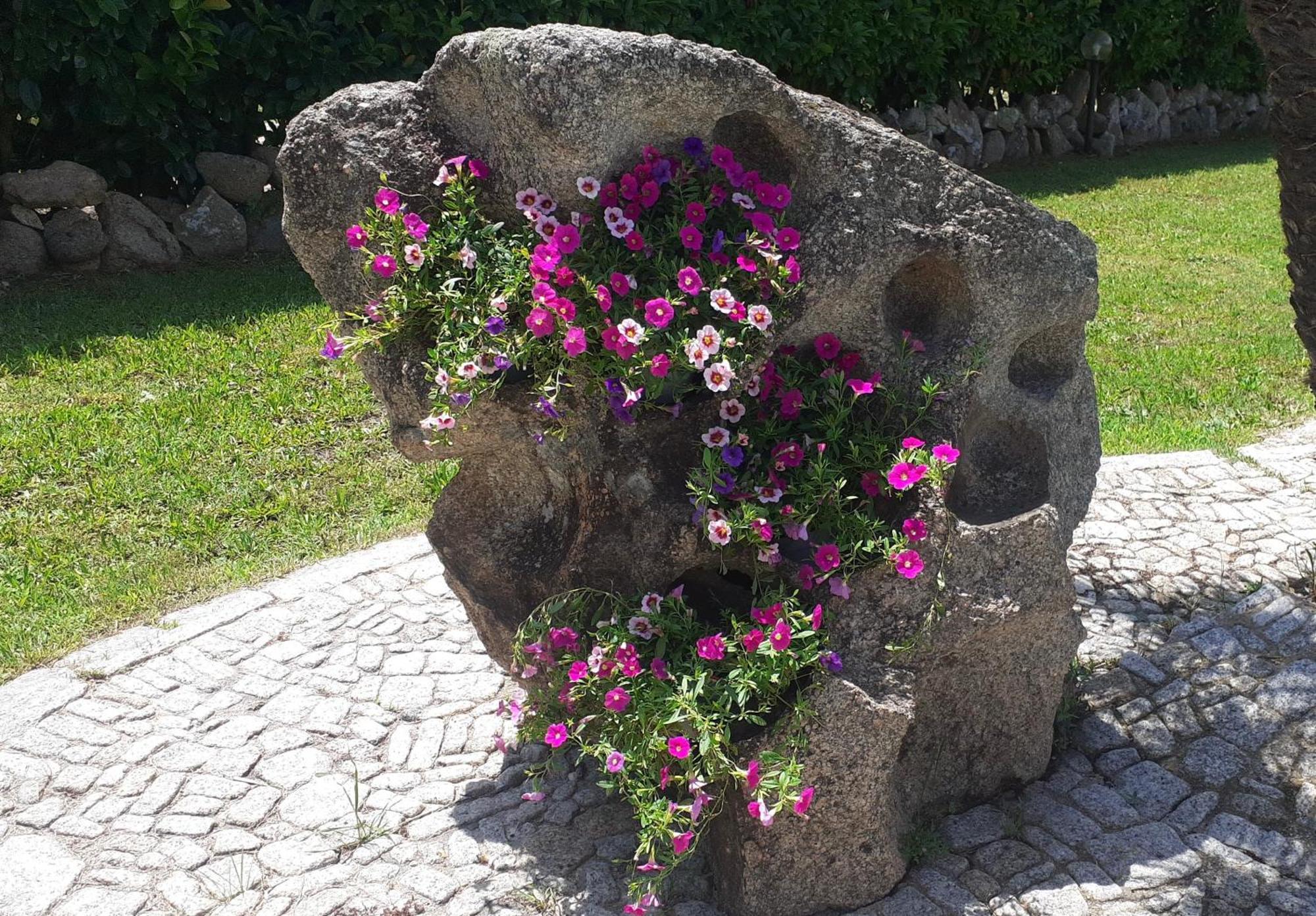 Villa Niloan 올비아 외부 사진
